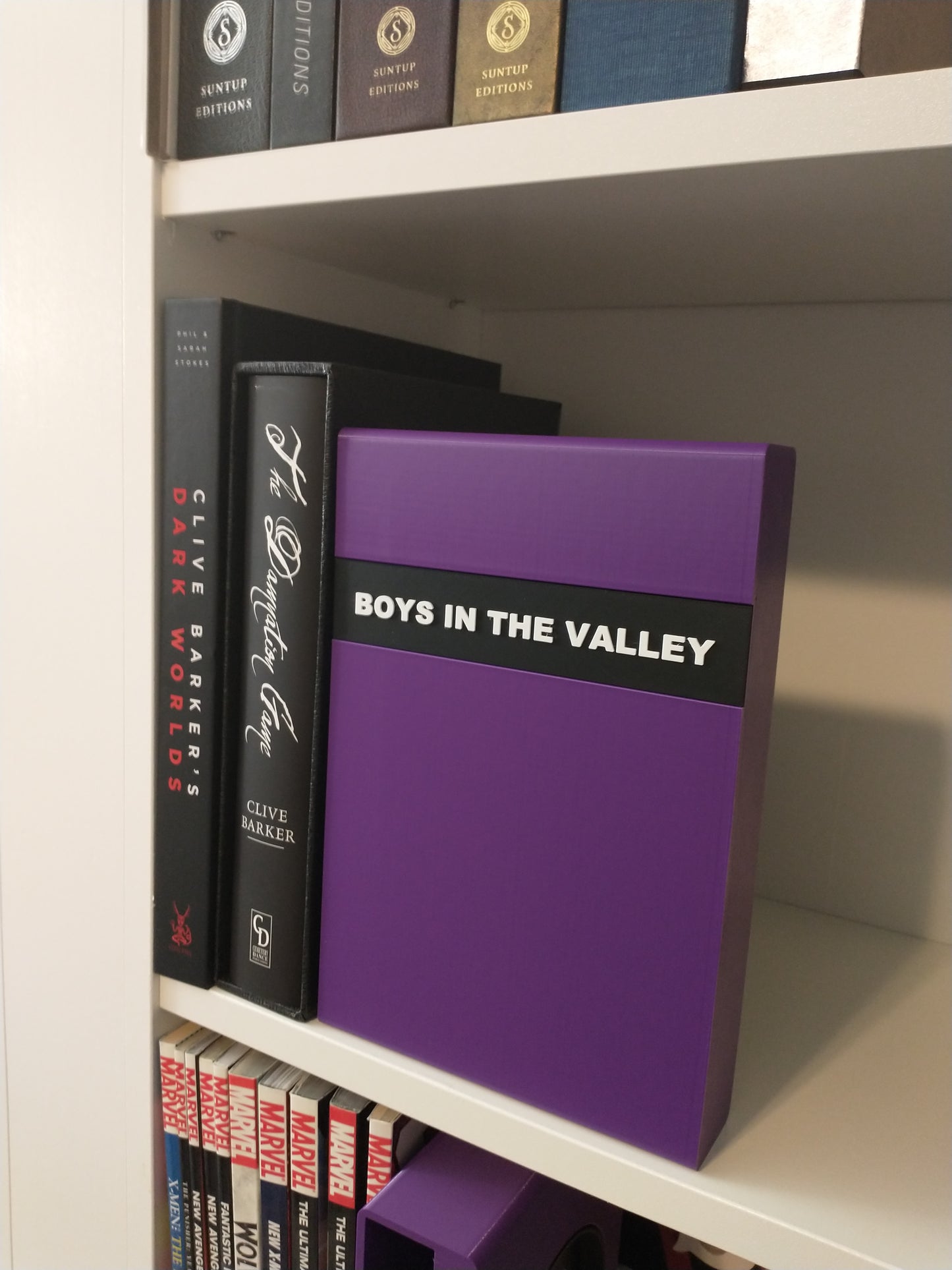 Boys In The Valley Slipcase (Earthling)