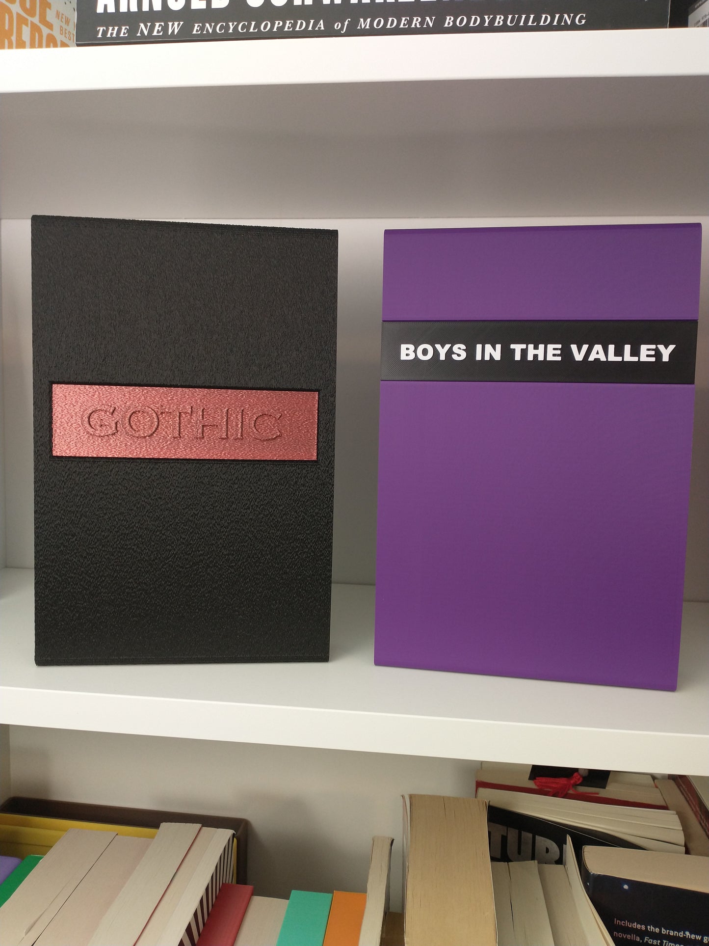 Boys In The Valley Slipcase (Earthling)