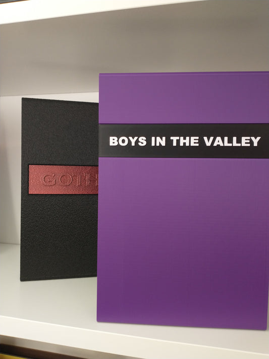Boys In The Valley Slipcase (Earthling)